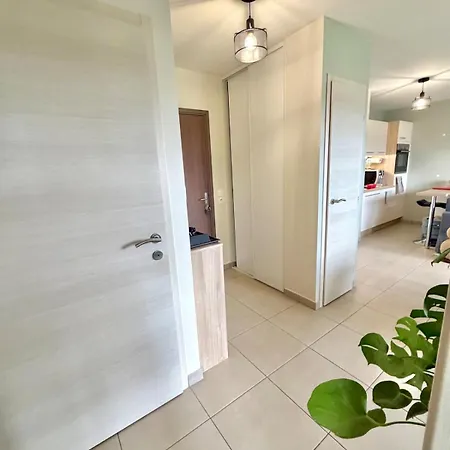 Appartement, Terrasse, Proche Frontiere Veigy-Foncenex